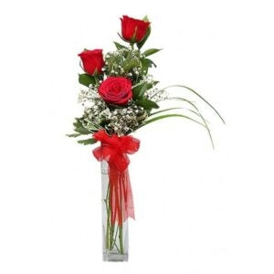 3 Red Roses with Glass Vase