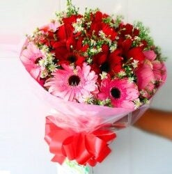 Pink & Red Gerberas Bunch