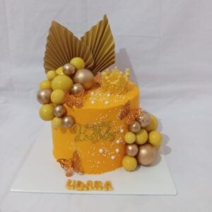 Special Birthday Cake 1.5Kg